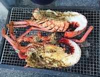 ノヤギ駆除を要望