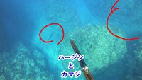 学校のネット環境を！