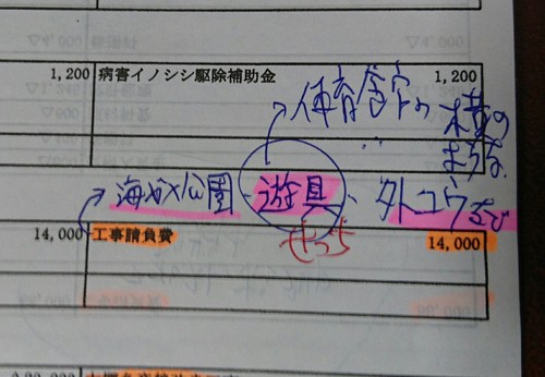 うみがめ公園に！