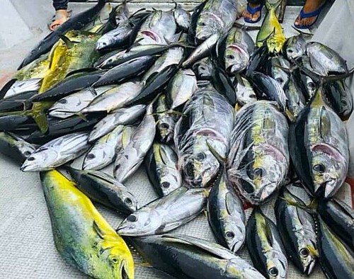 初質問はH20年