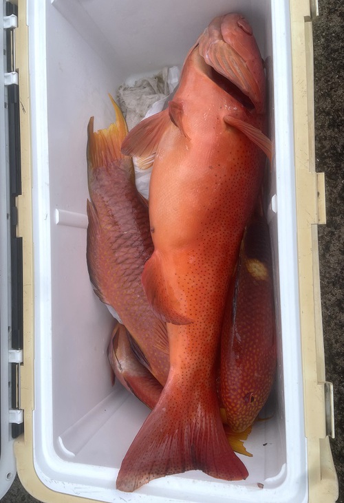 日程決まる！質問6名