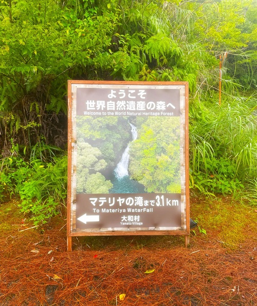 給付金などは？