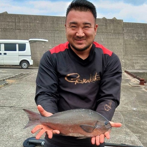 トビウオやマグロの観光漁業のために！