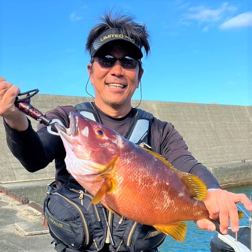 交通弱者支援充実を！