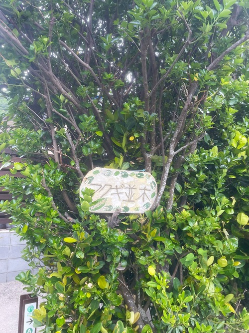 子どもの確保