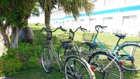 レンタサイクル