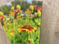 梅雨明けしました。