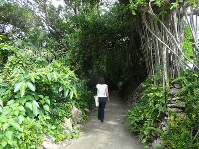 喜界島の歩き方