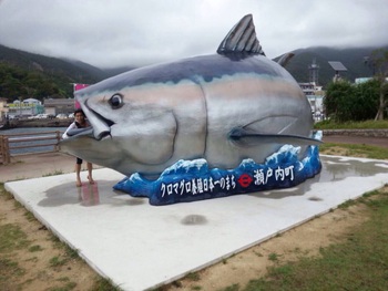 瀬戸内町古仁屋