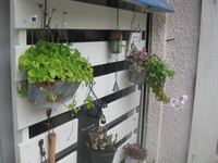 順調です♥