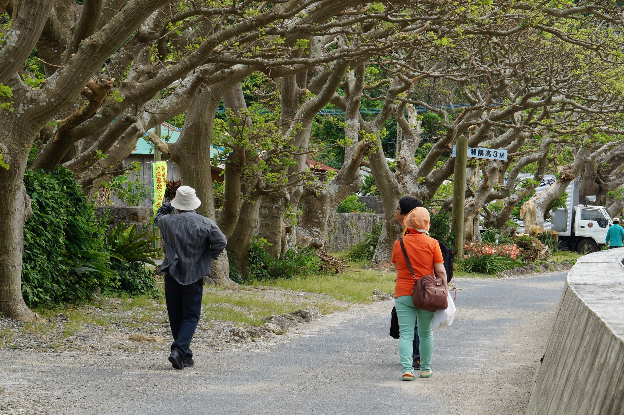 加計呂麻島、諸鈍を歩くモニターツアーのご案内