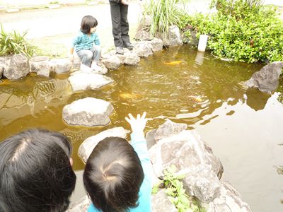 おたまじゃくし