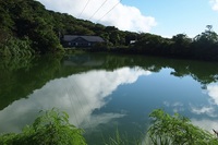 池に映り込む青空
