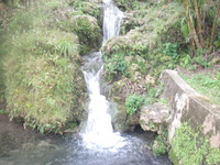 喜界島、大朝戸集落の滝