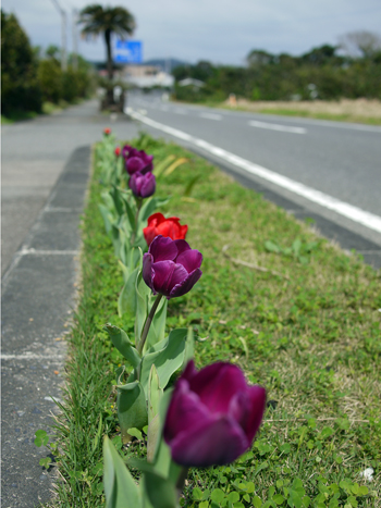 3月ですね！