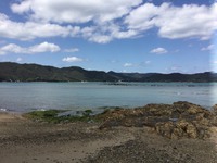 ご無沙汰しております。