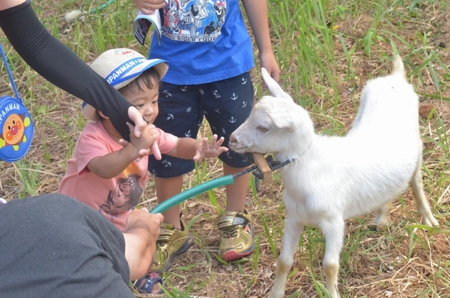 徳之島みじらん祭、3回目の感謝。