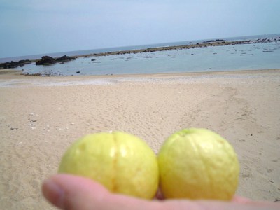昨日の続き・・・