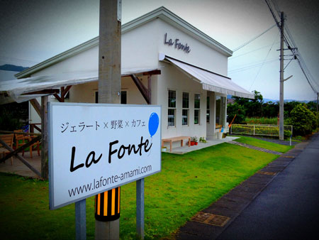 プレイガイド　（龍郷町）　ご紹介