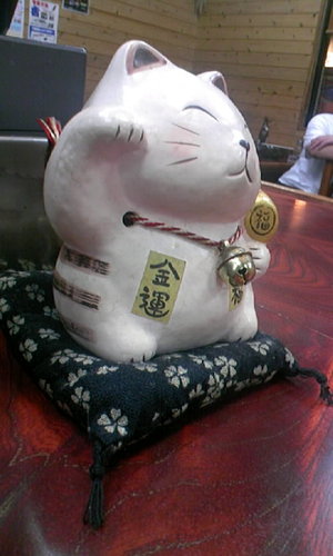 帰って来たあまにゃんさん・・・