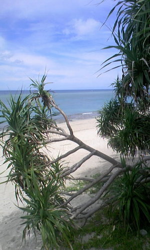 大浜・・・