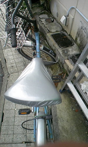 帰って来た～・・・