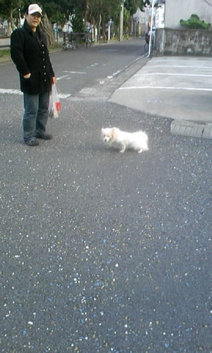 お友達に・・・