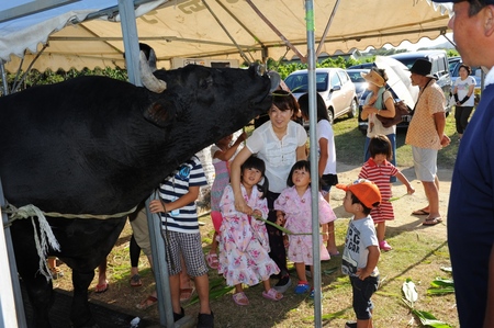 みじらん祭のご報告＆お礼