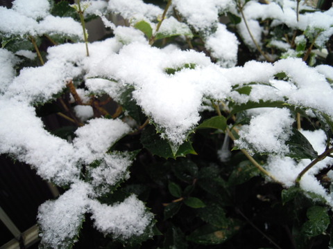 ☃雪だるま☃だよ！！