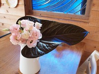 花舎さん✿