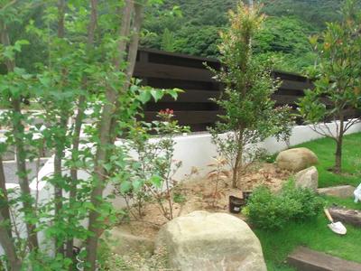 植えられなかった・・・！