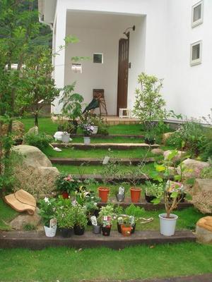植えられなかった・・・！
