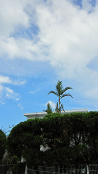 2012年10月19日