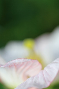 2012年11月21日