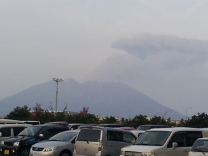 春を告げる花たちｉｎ鹿児島