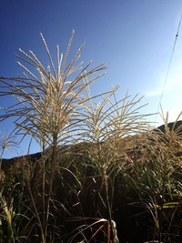 2014年11月08日
