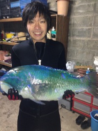 2014年11月11日