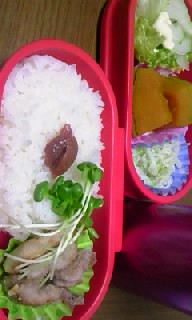 お弁当