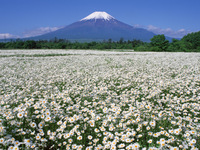 世界遺産　富士山の麓で、直傳靈氣を夏合宿で♪