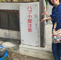 奄美リゾート