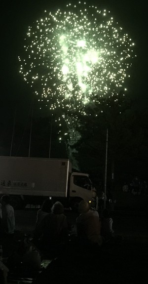 龍郷ふるさと祭