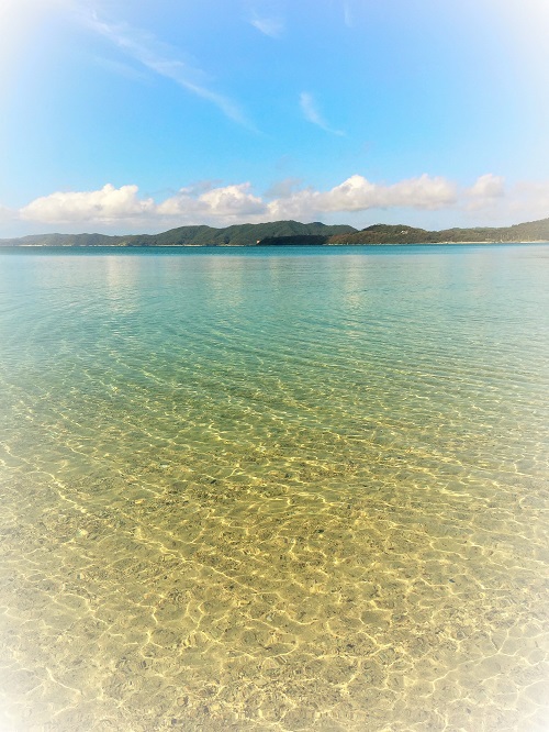 海ざんまい