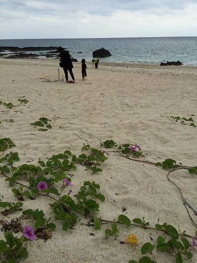 海海～そして巻き巻きサンプル♪