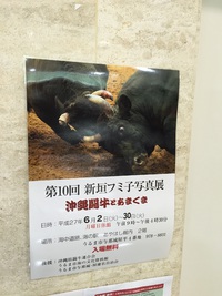 闘牛写真展