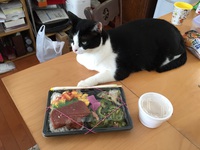 沖縄弁当