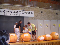 だいばんとっつぶるコンテストの苗