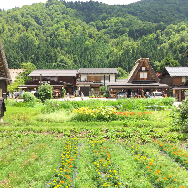 白川郷