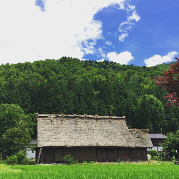 白川郷