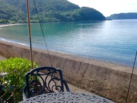 今日の清水湾透き通ってまっせぇ(*☻-☻*) 2018/06/06 08:51:27