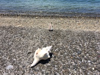今日から3連休ダス(*^_^*) 2017/07/15 11:53:25